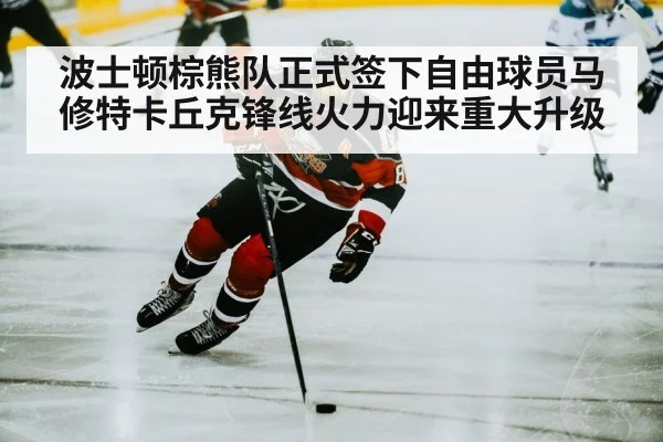 波士顿棕熊队正式签下自由球员马修特卡丘克锋线火力迎来重大升级