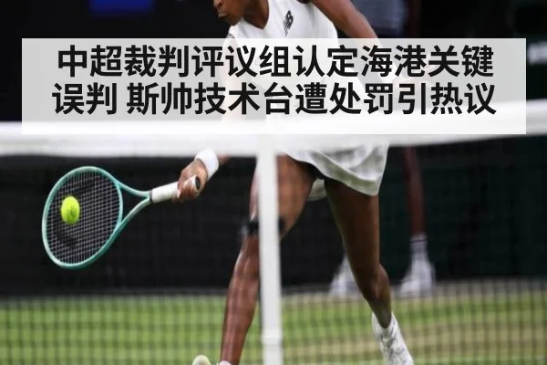 中超裁判评议组认定海港关键误判 斯帅技术台遭处罚引热议